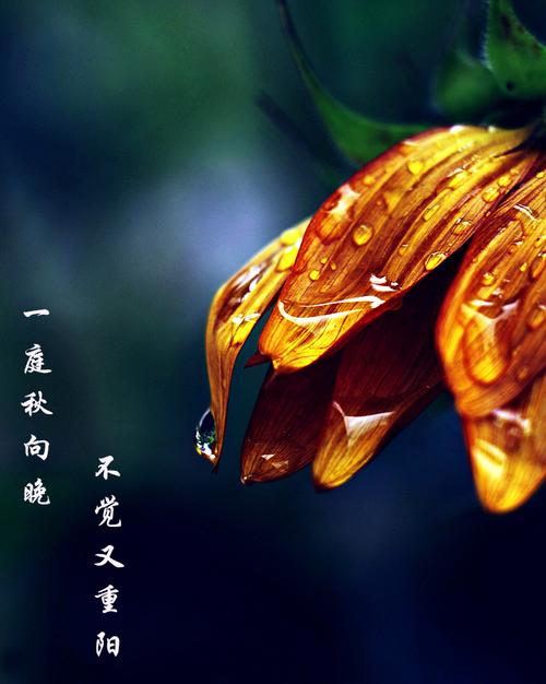  未经许可，不得转载
