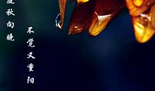 叹·时光易老_100字