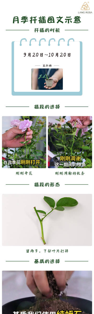 月亮与弓，胡双伟剑。
