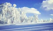 一起来看雪吧_1200字