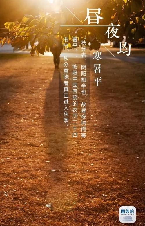 输入_800字