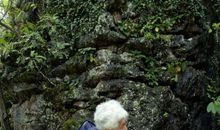 曾祖母的曾经_750字