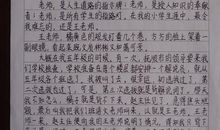 我的家乡在变化_1200字
