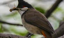 自然名言：物竞天择，适者生存_750字