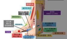 放假的苦恼_450字