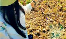 没有尽头的追逐_100字