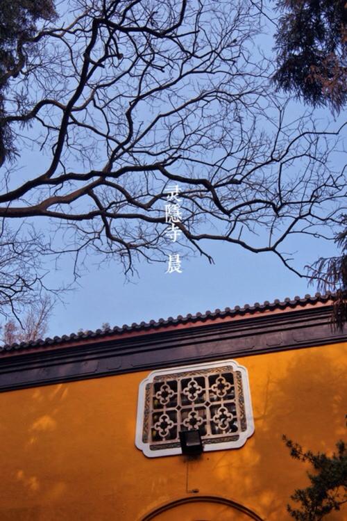 遇险_700字