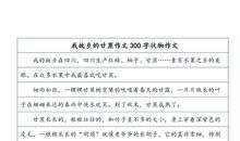 初三状物作文：竹子_800字