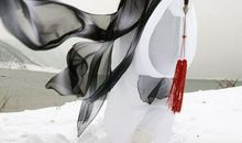 我的心事_2000字