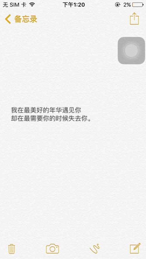 谢谢，在我最美丽的一年里，我遇见了你_700字
