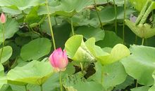 时光，慢慢走【一】_2000字