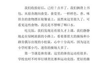 我的初中新生活_800字