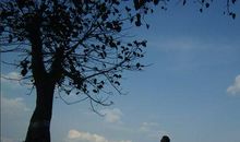 仰望天空真有趣_650字