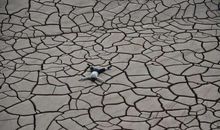 画堂春?秋思_50字