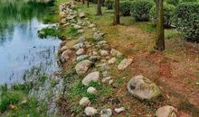 “音乐”在细微处_650字