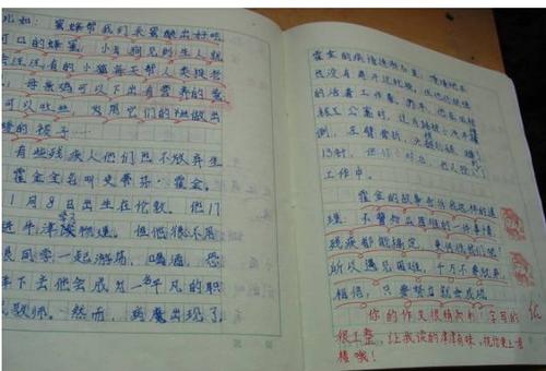 令人难忘的课程_550字
