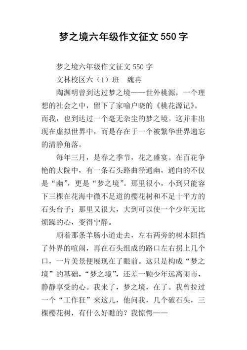[夏季论文]问题_550字