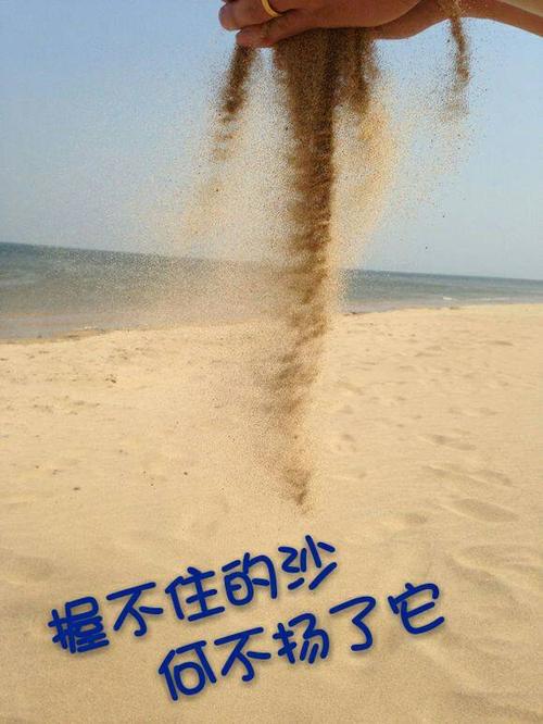 爱你，了解你_550字