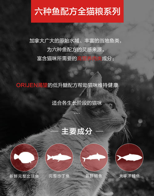 [七月欲望]我渴望看到徐伟_800字