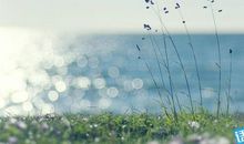 流年里的碎碎念，只许岁月安然静好_2000字