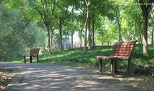 漫步在公园小道_750字