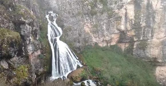 [夏季论文]珍稀仙境_1200字