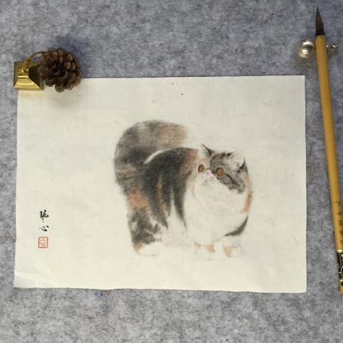 大脑是无穷无尽的历史。