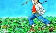 读《少年闰土》有感_650字