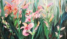 我们生长在不同的季候_50字