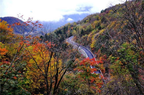 华泉山_150字