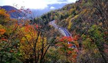 怀古馨 山间_150字