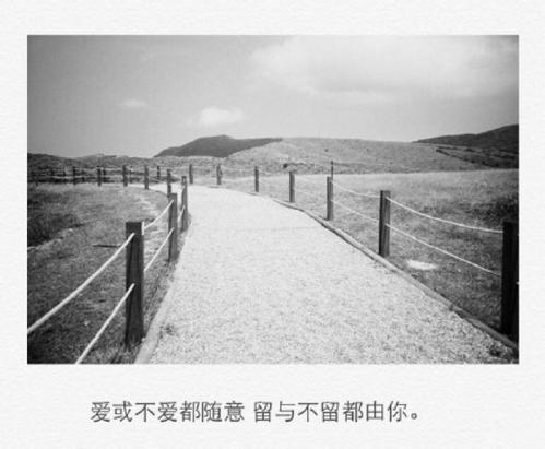 眼泪，睫毛，扰乱了所有的情绪