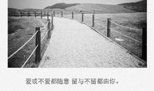 如果不爱了，那就放手吧_600字