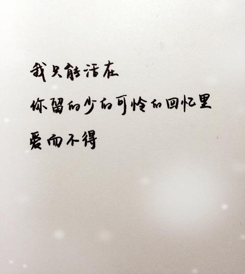 他静静地看着它