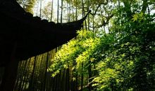 心中那残留的一念之间_250字