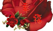 有你，真的很幸福_600字