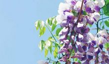 跨越千年，与你相会_1000字