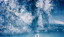 冬日的温暖_800字