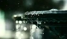 中秋时节，你可曾见过一场大雨_600字