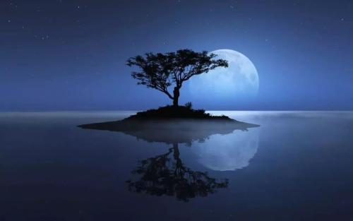 我曾经掉了_800字