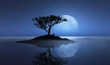 曾经的点滴_800字