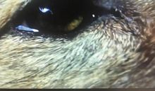 那一刻，我饱含泪水_700字