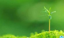 成长的努力_1000字