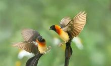 一路走来的挫折_900字