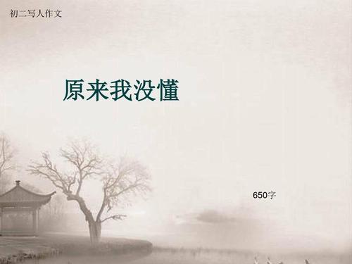 我不明白_650字