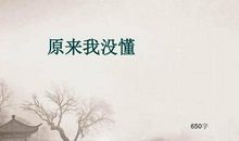 原来我没懂_650字