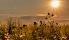 最美是黄昏_750字