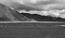 蓦然回首，一切茫然_600字