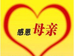 感谢母亲理解_1200字