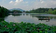 最爱湖东行不足_550字